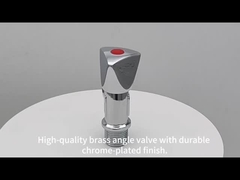 কোণীয় ভালভ